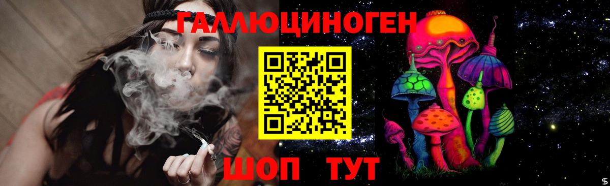 Галлюциногенные грибы Psilocybine cubensis Тосно
